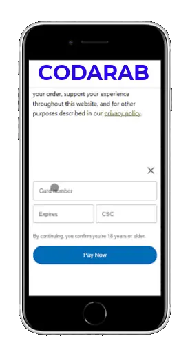 حلول الدفع الآمنة للمواقع عالية المخاطر